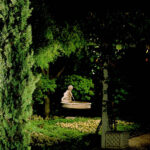 Cultivated Lighting Design